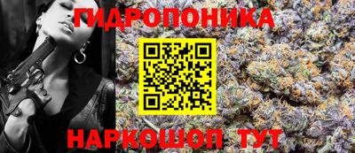 трава Лесосибирск