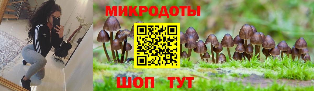 Екатеринбург  Галлюциногенные грибы Magic Shrooms  Псилоцибиновые грибы Cubensis  Вход с VPN 